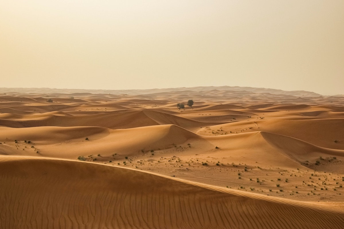 Springs in the Desert for Many Nations