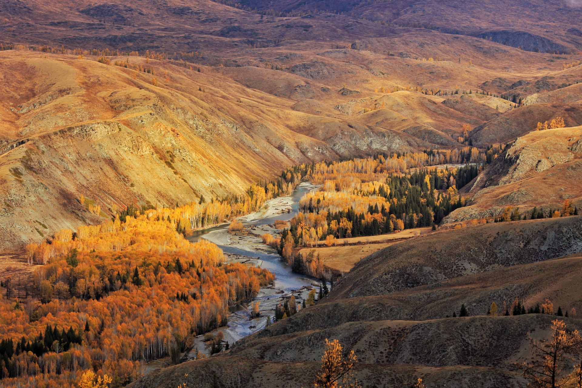 Thanksgiving in the Wilderness