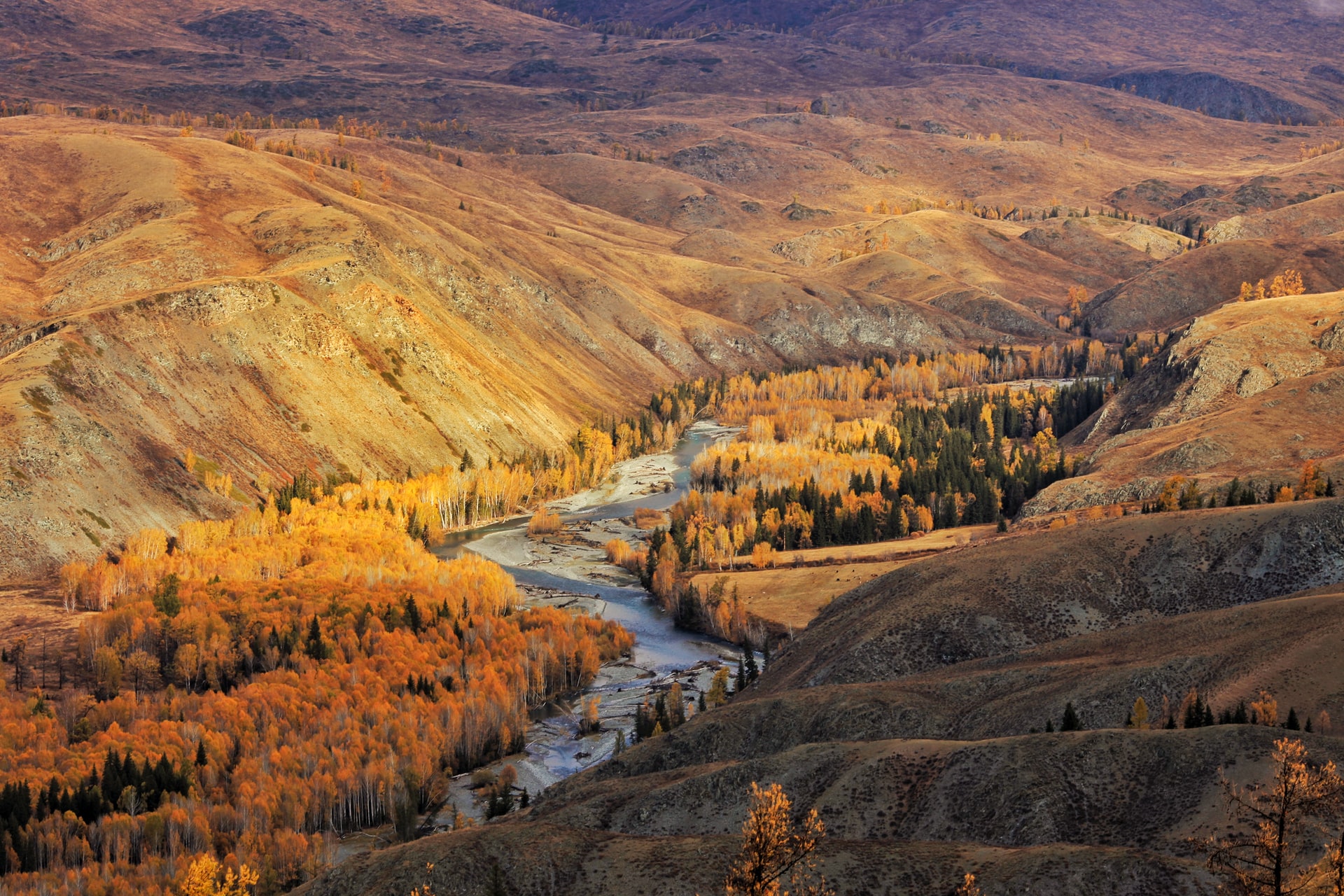 Thanksgiving in the Wilderness