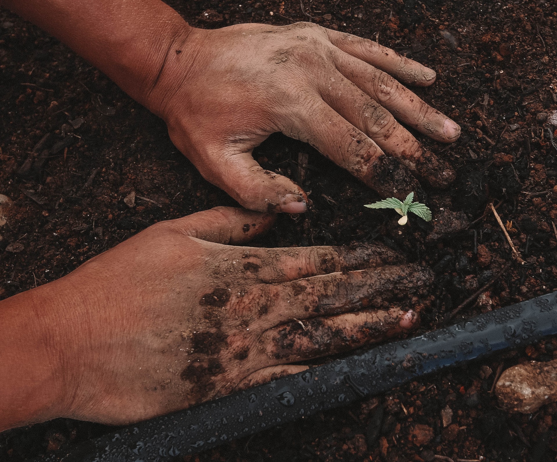 Planting with Small Seeds