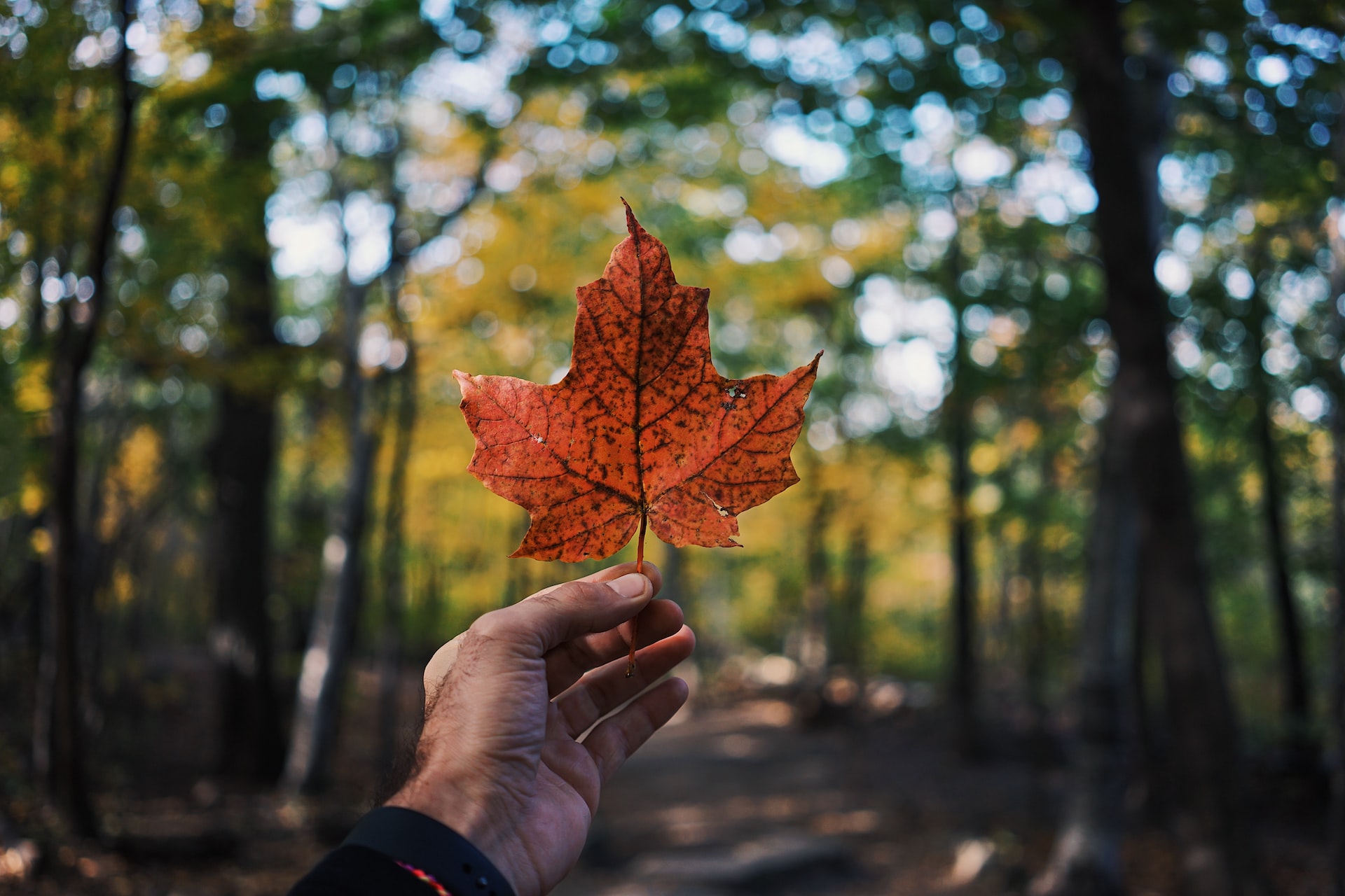 Sharing the Gospel in Canada