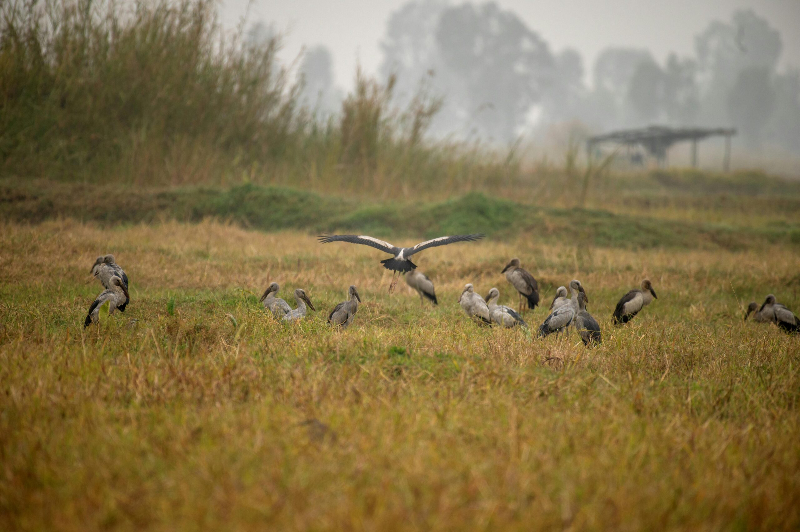 Church Planting in Manipur, India